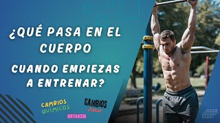 ¿Qué Pasa en Tu Cuerpo Cuando Empiezas a Hacer Ejercicio Cambios Físicos y Mentales [upl. by Yci]