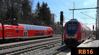 RB16 München🔁Treuchtlingen mit BR445 Twindexx in Pfaffenhofen ad Ilm [upl. by Adirf]