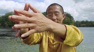 Find Happiness amp Fulfillment With Qigong [upl. by Ordnajela270]