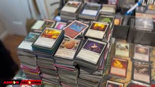 What to EXPECT running a Full Time TCG Player Business [upl. by Niras884]