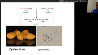 Absorption of Amino acids Hartnup disiase and Cystinuria USMLE Step1 [upl. by Gent]