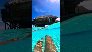 Discover the MOST BEAUTIFUL Island of Maldives 😱😱 youtubeshorts shortvideo shorts short [upl. by Aikenahs]