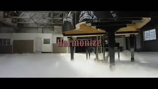 Harmonize  Wapo official video [upl. by Naejamron]