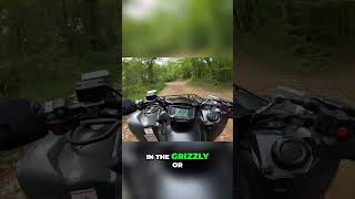 Why 750cc ATVs Like Grizzly Outperform 1000cc Giants [upl. by Ettenajna]