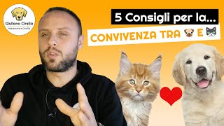 🐶 Convivenza Cane e Gatto 5 Consigli per Far sì che Funzioni  Giuliano Addestratore [upl. by Chesna11]