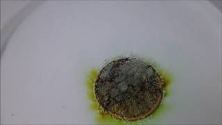 Coin in peracetic acid reaction [upl. by Niklaus226]