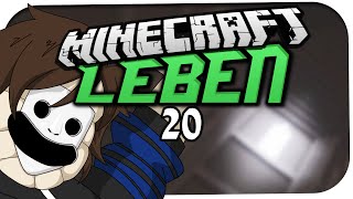 MINECRAFT LEBEN ☆ 20  ALLES SIEHT ANDERS AUS ☆ Minecraft Leben [upl. by Fancy104]