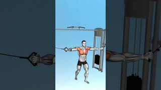 Workout l Fitness World Tv workout gym fitness [upl. by Ardnoed]