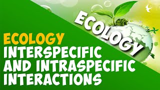 Interspecific and Intraspecific Interactions  Ecology amp Environment  Biology AddyESchool [upl. by Gurney934]