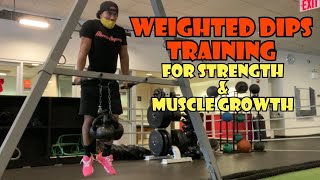 Weighted Dips Training for Strength and Muscle Growth  Eric Rivera [upl. by Kristo]