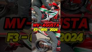 MV Agusta F3 800 2024 all gear Dyno run [upl. by Kissee317]