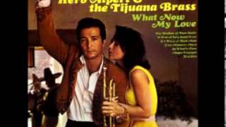 Herb Alpert and The Tijuana Brass  Lonely Bull [upl. by Kwarteng]