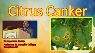 Citrus canker Xanthomonas oxonopodis by Dr Jayarama Reddy [upl. by Karon]