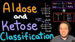 Carbohydrate Basics Classifying Aldoses and Ketoses for Beginners [upl. by Larisa131]