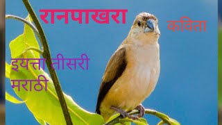 रानपाखरा  Ranpakhara  इयत्ता तीसरी मराठी कविता marathi kavita [upl. by Bob]