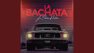 La Bachata [upl. by Celine]