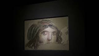 Zeugma Mosaics Museum 202406 [upl. by Cired]