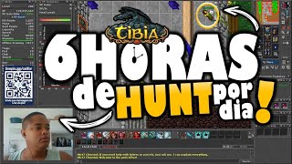 TERCEIRA RENDA  RETRO OPEN PVP  TIBIA [upl. by Alledi61]