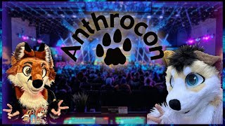 Attending The BIGGEST Furry Convention  AnthroCon 2024 Recap [upl. by Nytram193]