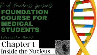 Genetics amp Biochemistry Basics  MM Foundation Course for Medical Students  Chapter 1 Nucleus [upl. by Lasorella]