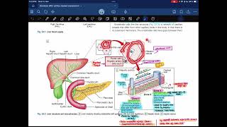 Hepatology03 Davidson  Medicine [upl. by Mairim266]