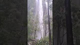 Devkund waterfall best scene [upl. by Adnoel]