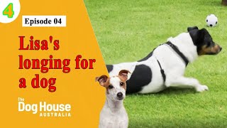 The Dog House Australia  Season 4 Episode 04 Lisas longing for a dog [upl. by Aivekal]