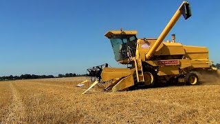 New Holland Clayson 8060 Combine  Loonbedrijf RJ Wardenier [upl. by Litsyrk]