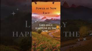 power of now liveinthemoment mindfulness powerofnow [upl. by Ajak964]