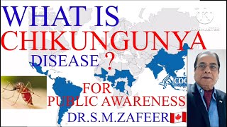 WHAT IS CHIKUNGUNYA DISEASEDRSMZAFEERYouTube [upl. by Doownyl952]