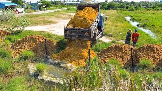 Starting New Project Landfilling by Excellent skill Driver Bulldozer KOMATSU Pushing Soil Rock [upl. by Dlorah519]