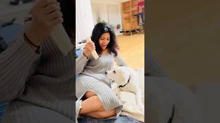 goldenritriever puppy mypet mypetsvlog love irritating dog rmallu malayalam malayalamvlog [upl. by Ullund]