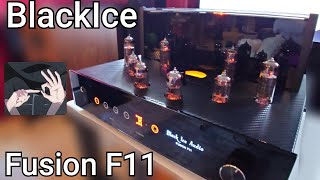 22 Watts of TUBE POWER  Black Ice Audio Fusion F11 💎 [upl. by Ardnohsal]