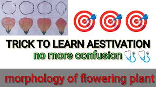 aestivation trick  trick to learn aestivation  morphology of flowering plant trick [upl. by O'Conner]