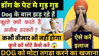 Puppy and Dog ko Mota and Healthy Kaise Banane के तरीके [upl. by Marvin]