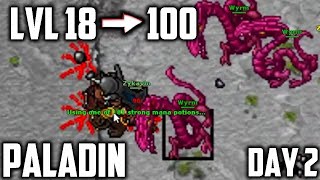 PALADIN From LVL 18 to 100 in 7 DAYS  Part 2 Day 2 subtitled [upl. by Erdnassac]