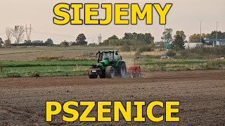 SIEW PSZENICY PO UPRAWIE BEZORKOWEJ [upl. by Sophie]