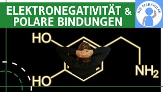 Elektronegativität amp polare Bindungen  Definition Elektronegativitätsdifferenz amp Beispiele erklärt [upl. by Oknuj672]