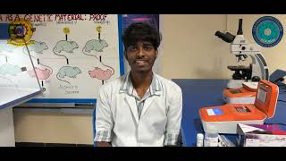 Polymerase Chain Reaction PCRBiotech labVSBKarur [upl. by Hudson]