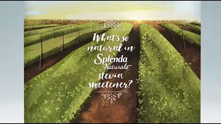 SPLENDA® Naturals Stevia Sweetener  Inside Every Box [upl. by Bernj692]