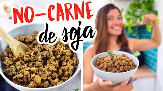 Carne de SOJA  Una alternativa VEGANA y SABROSA [upl. by Oiled130]