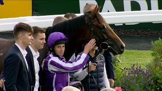 TOWER OF LONDON rises to the occasion on his debut at Leopardstown [upl. by Airrotal456]