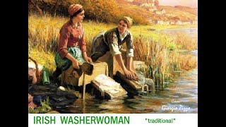 Irish Washerwoman  Instrumental  Played by Giorgio Zizzo [upl. by Nylinej]