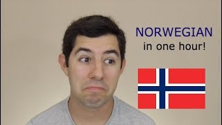 Can I Learn Norwegian in ONE Hour [upl. by Elana]