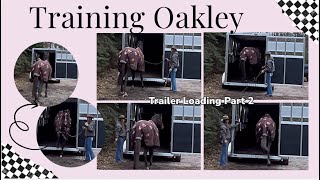 Training OTTB Oakley Day 21 Trailer Loading Part 2 [upl. by Nnaed]