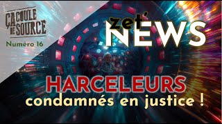 Des harceleurs condamnés ZetNEWS [upl. by Edra32]