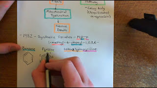 Parkinsons Disease and Antiparkinson Drugs Part 4 [upl. by Suoivatnom265]