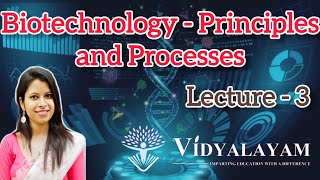 Agarose Gel electrophoresis  Biotechnology  Principle and processes  Lecture 3  NEET [upl. by Annasiul730]