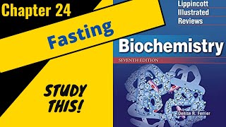 Lippincotts Biochemistry Review Chapter 24 The FeedFast Cycle  Study This [upl. by Nolyak]