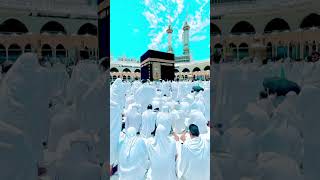 Wo Mera Nabi HaiNew Naat 2024viraltrendingviralnaatmadinamuhammadpopularstatusمدینہمحمد [upl. by Bowrah212]